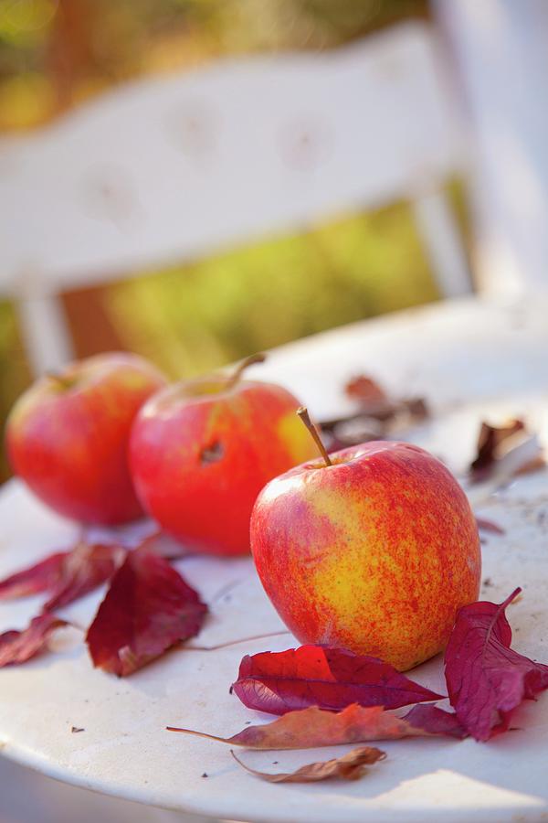 Three Apples And Red Fall Leaves Photograph by Studio Lipov