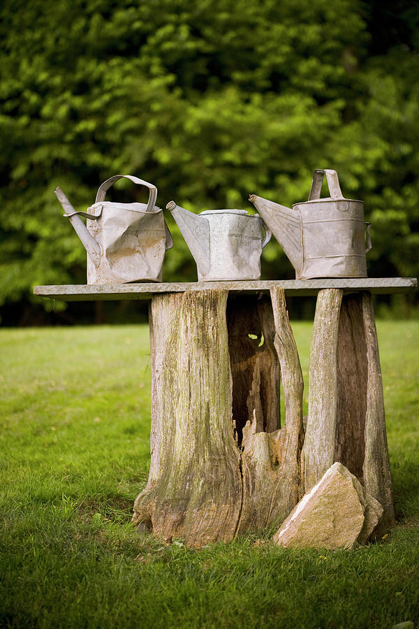 Three Battered Old Watering Cans In Garden Photograph by Colin Cooke