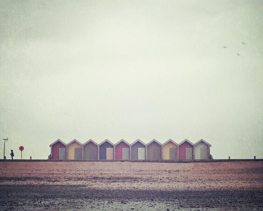 Three Birds And Some Beach Huts Photograph by Doug Chinnery