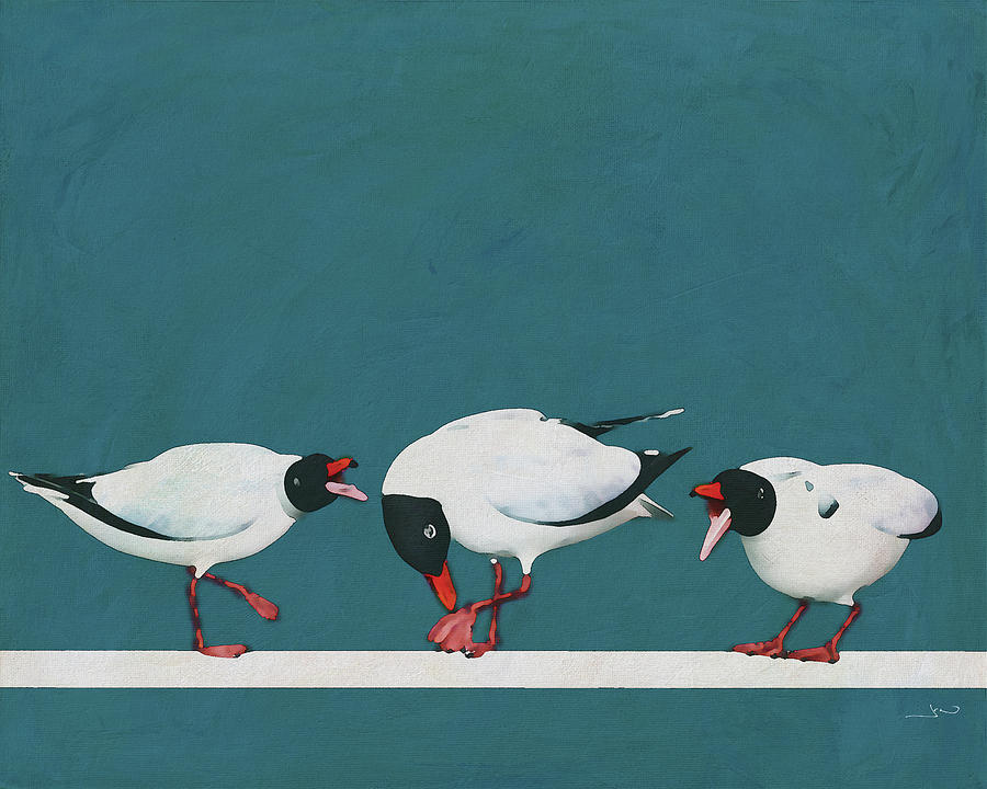 Three Black Seagulls fighting with one another Digital Art by Jan Keteleer