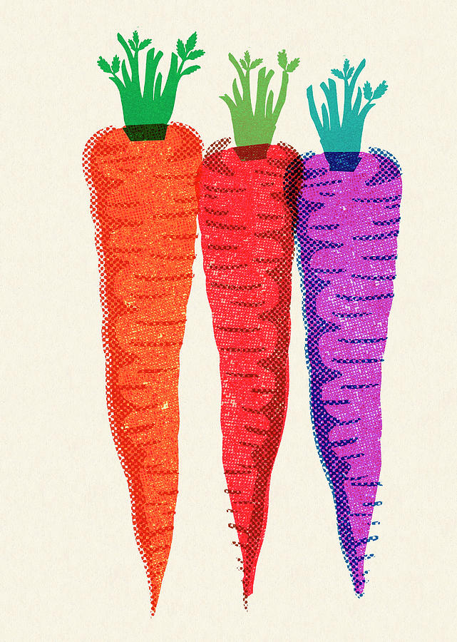 Carrot Drawing - Three Carrots by CSA Images