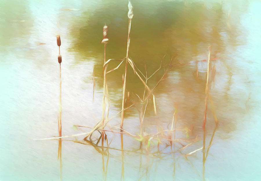 Nature Photograph - Three Cattails In Water Shades Of Soft Blue by Anthony Paladino