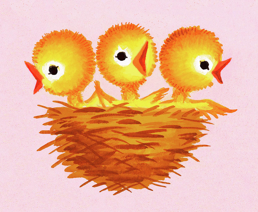 Chicken Drawing - Three Chicks in a Nest by CSA Images