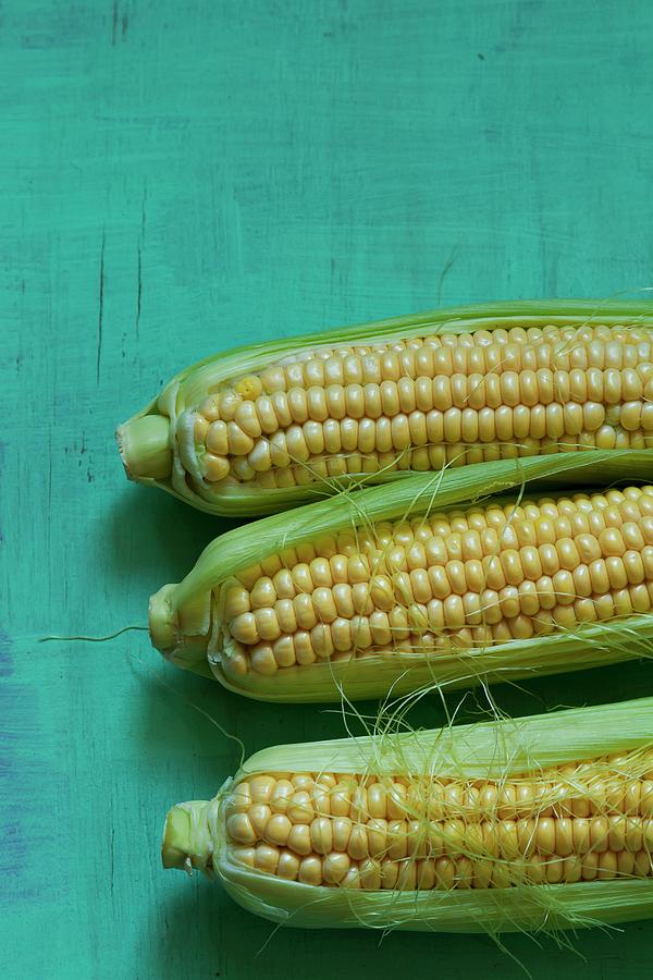 Three Corn Cobs seen Above Photograph by Adel Bekefi