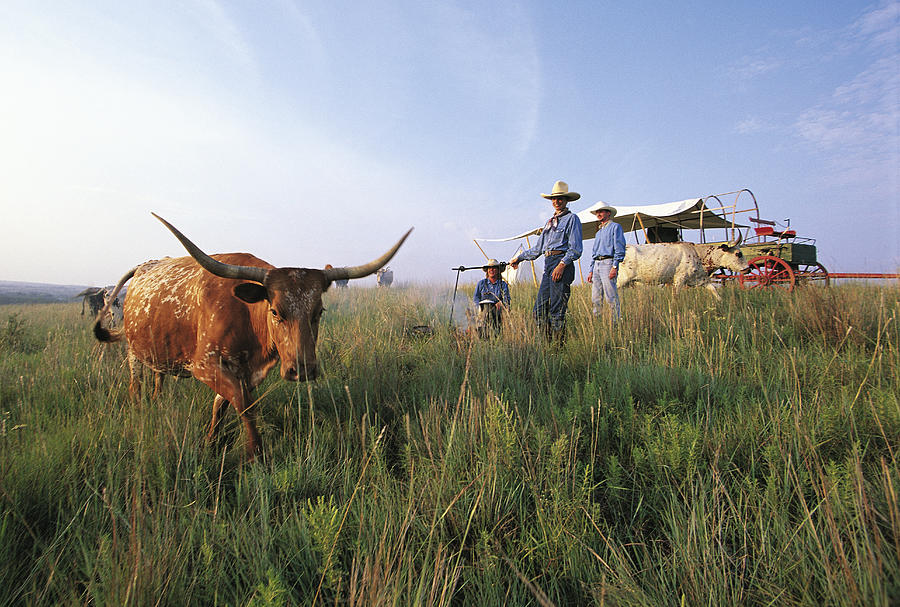 Three Cowboys Standing By Texas Photograph by Sylvain Grandadam