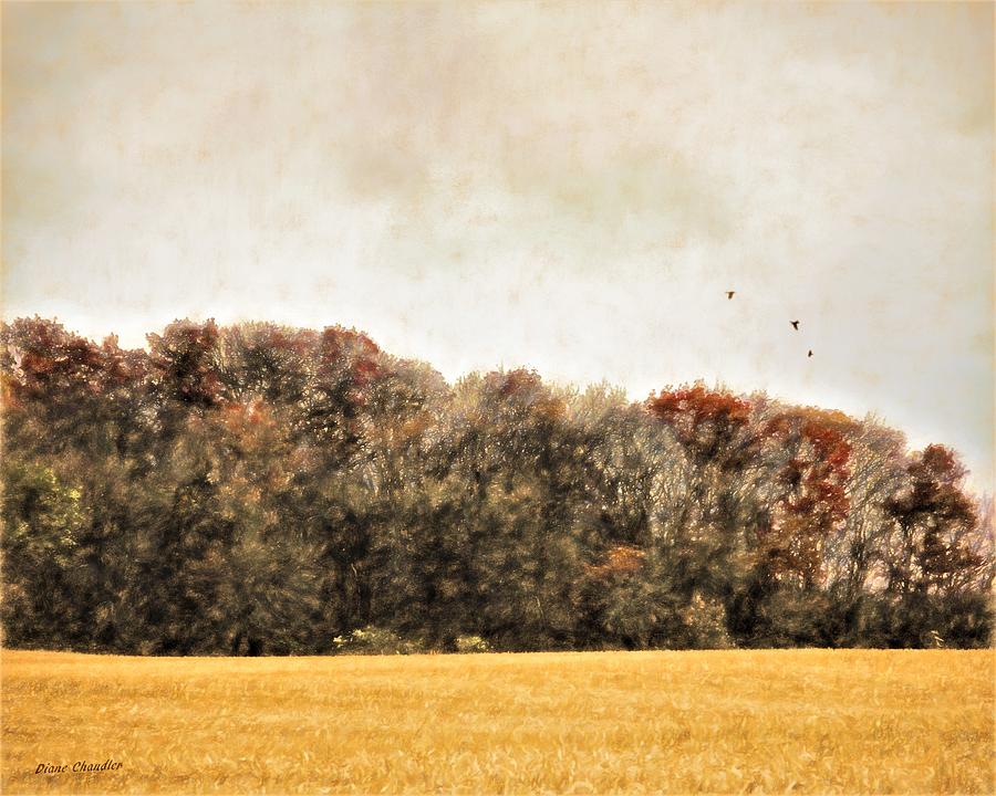 Three Crows and Golden Field Digital Art by Diane Chandler