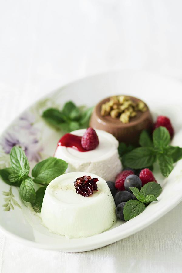 Three Different Panna Cottas With Berries And Chocolate Photograph by Alicia Maas Aldaya