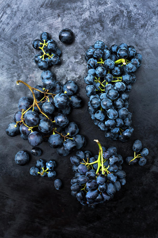 Three Different Varieties Of Blue Grapes dornfelder, Lavalee, Nero Photograph by Sabine Lscher
