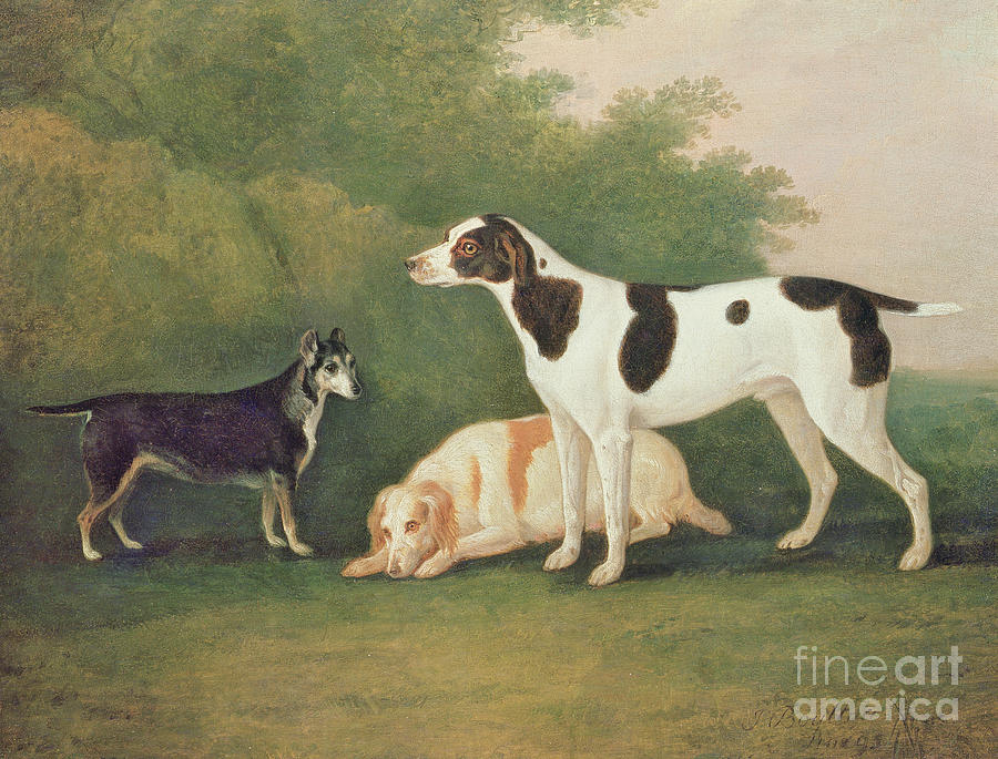 Three Dogs In A Landscape Painting by John Boultbee