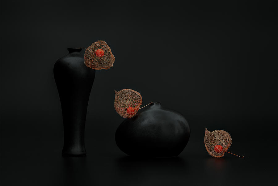 Vase Photograph - Three Dry Lanterns by Lydia Jacobs