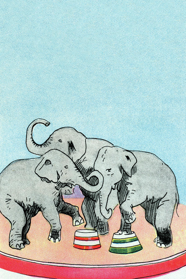 Three Elephants Painting by Julia Letheld Hahn
