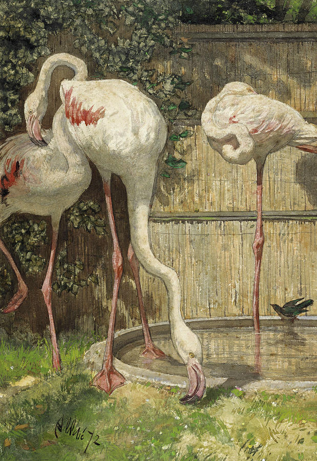 Flamingo Painting - Three Flamingos near a Basin, 1872 by August Allebe