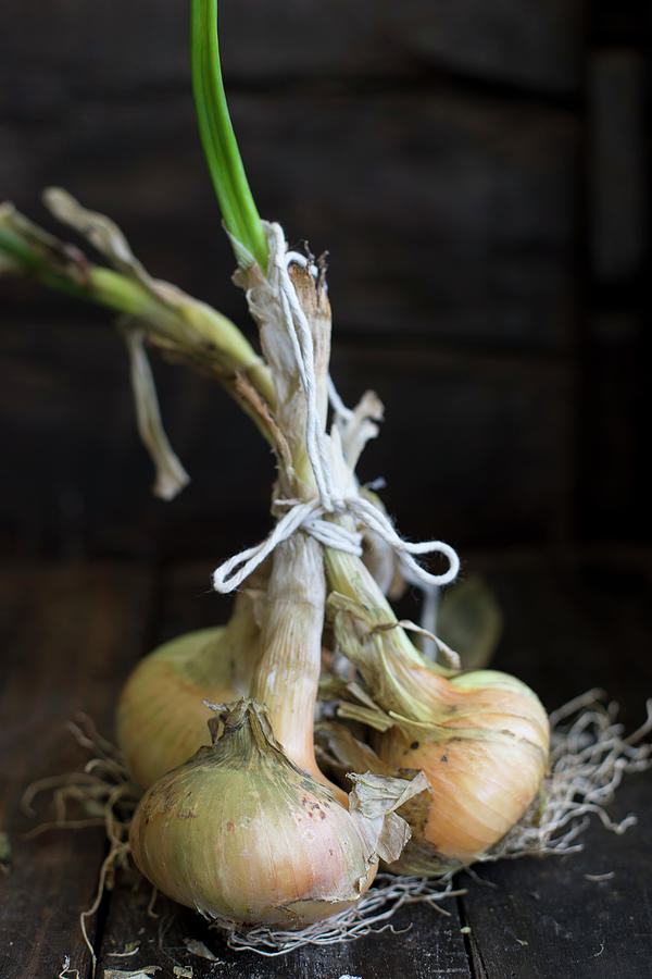 Three Fresh Onions Photograph by Lilia Jankowska