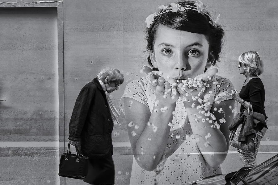 Flower Photograph - Three Generations by Jean-louis Viretti