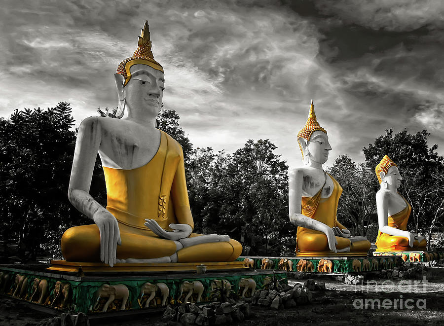 Three Golden Buddhas Photograph by Adrian Evans