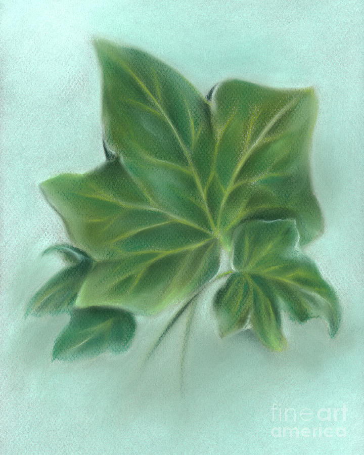 Three Green Ivy Leaves Painting by MM Anderson