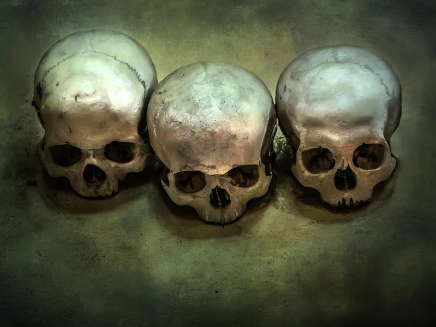 Three human skulls Photograph by Jaroslaw Blaminsky