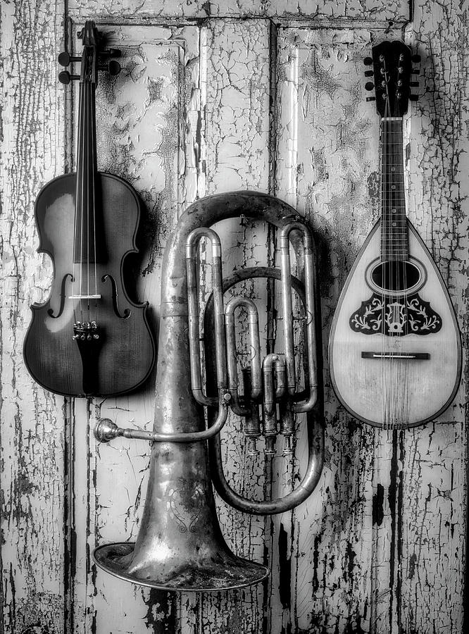Three Instruments Black And White Photograph by Garry Gay