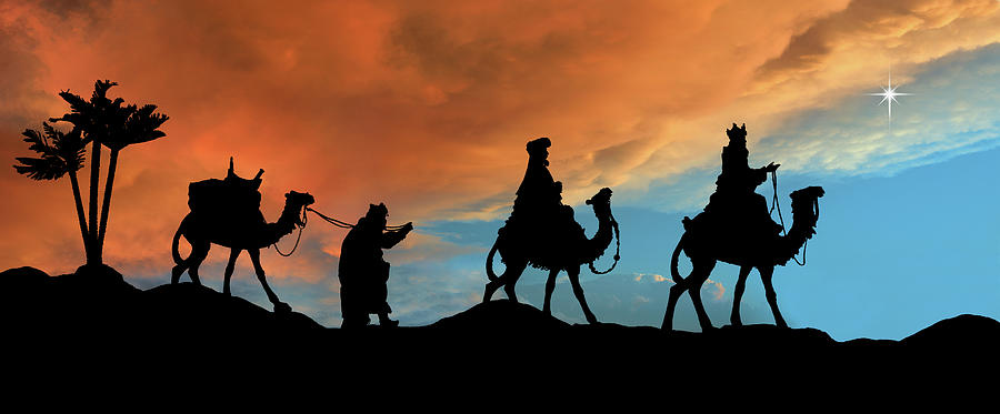 Three Kings Photographed Silhouette Photograph by Liliboas
