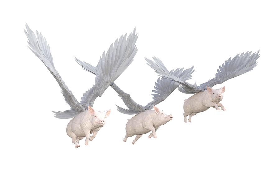 Pig Digital Art - Three Little Pigs Transparent by Betsy Knapp Pig Digital Art - Three Little Pigs Transparent by Betsy Knapp