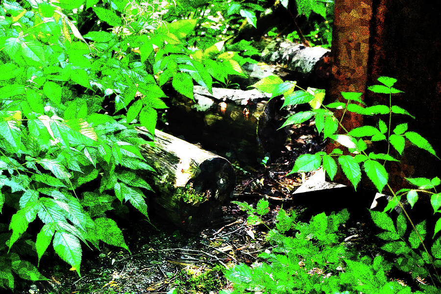 Three Logs by Simone Hester Three Logs by Simone Hester