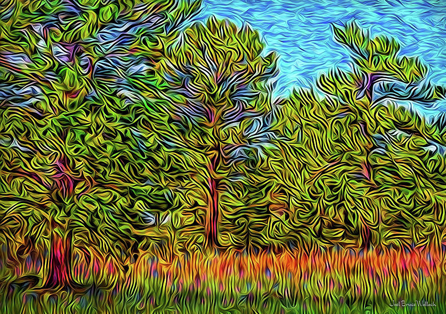 Three Meadow Trees Digital Art by Joel Bruce Wallach