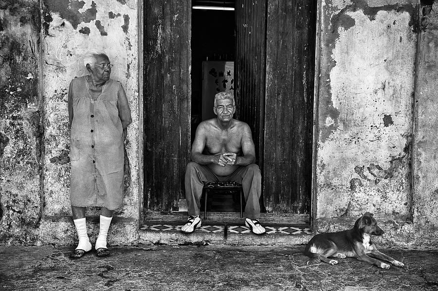 Animal Photograph - Three Members Of A Cuban Family by Joxe Inazio Kuesta Garmendia