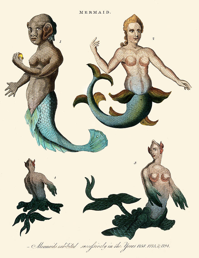 Three Mermaids Painting by J. Pass