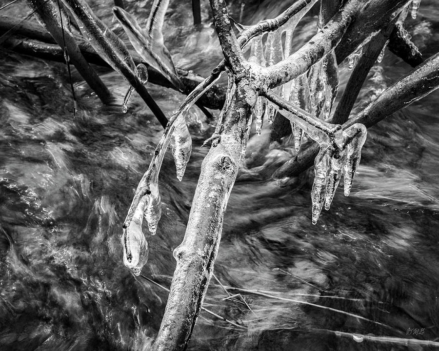Three Mile River VII BW Photograph by David Gordon