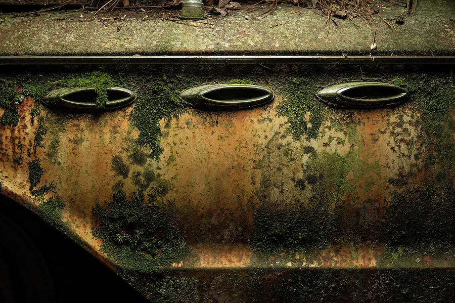 Rust Photograph - Three Of A Kind by 8th Mile Photography Rust Photograph - Three Of A Kind by 8th Mile Photography
