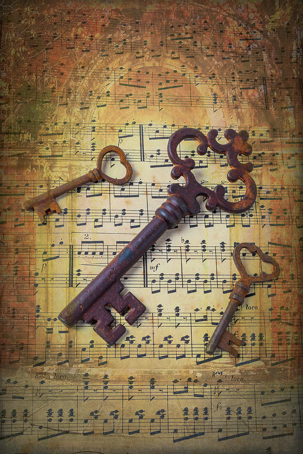 Three Old Skeleton Keys Photograph by Garry Gay
