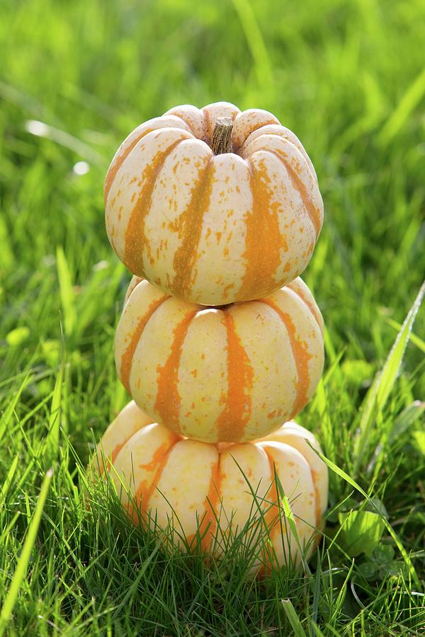 Three Ornamental Pumpkins Stacked On Grass Photograph by Lydie Besancon