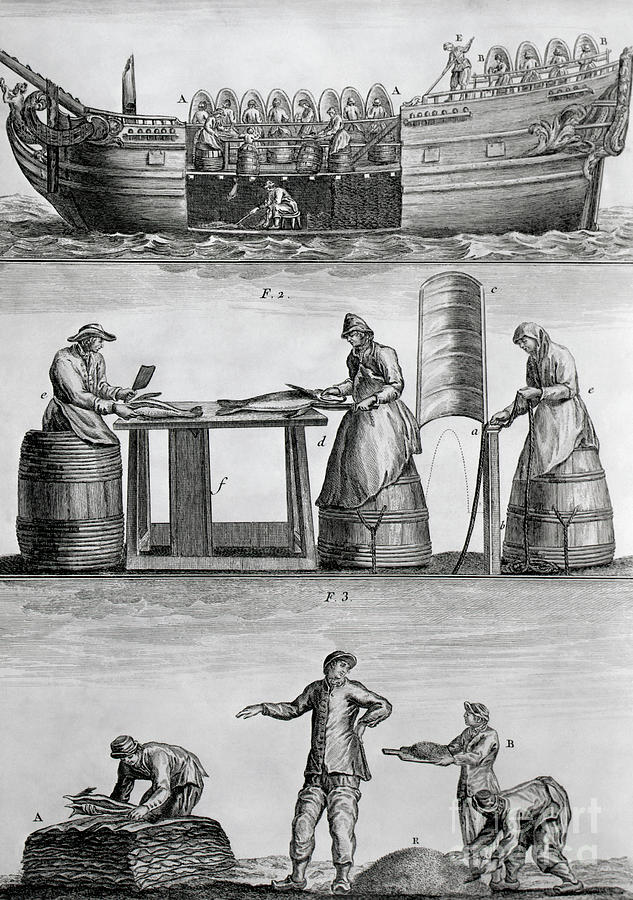 Three Panels Of Fish Industry In 1770 Photograph by Bettmann
