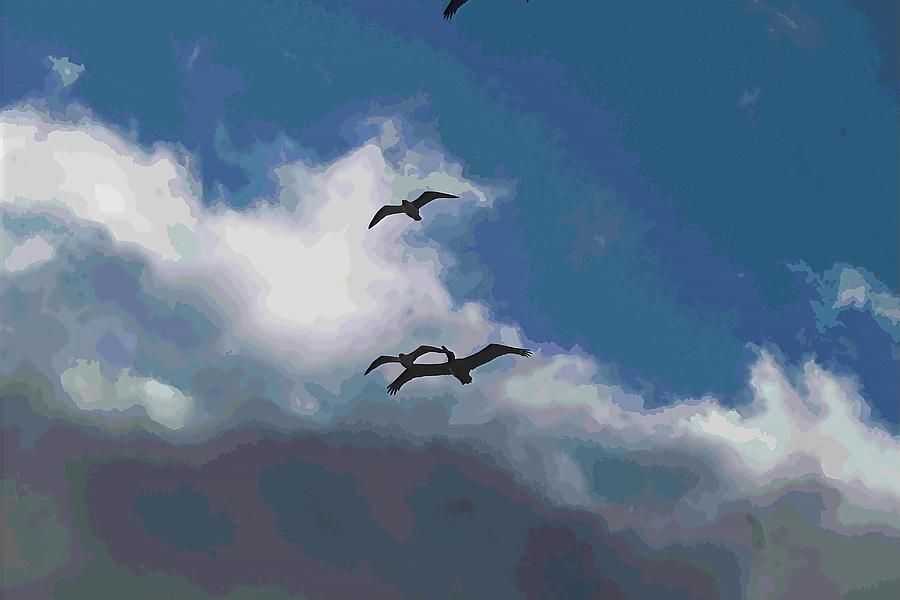 Three Pelicans Flying At Nags Head Photograph