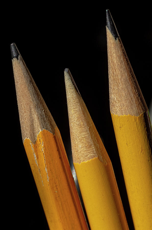 Three Pencils Photograph by Robert Ullmann