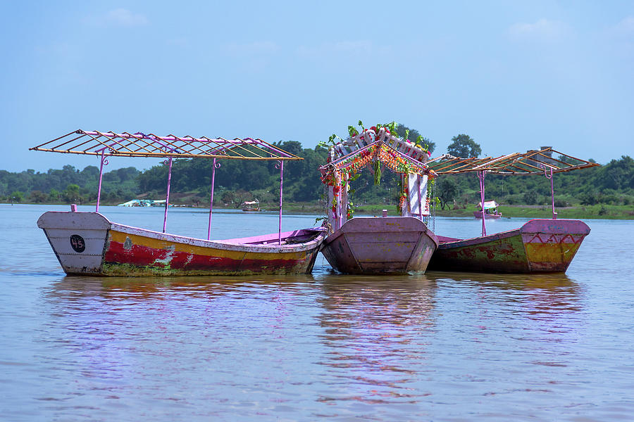 Three Pink Boats, India Photograph by Amy Sorvillo