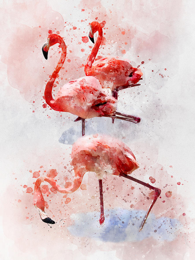 Flamingo Painting - Three Pink Flamingos Watercolor by SP JE Art