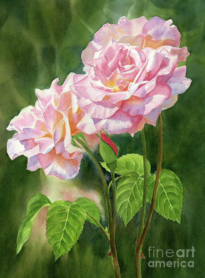 Three Pink Roses with Dark Background Painting by Sharon Freeman