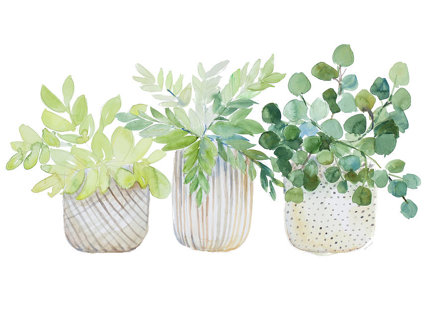 Three Painting - Three Potted Plants by Lanie Loreth