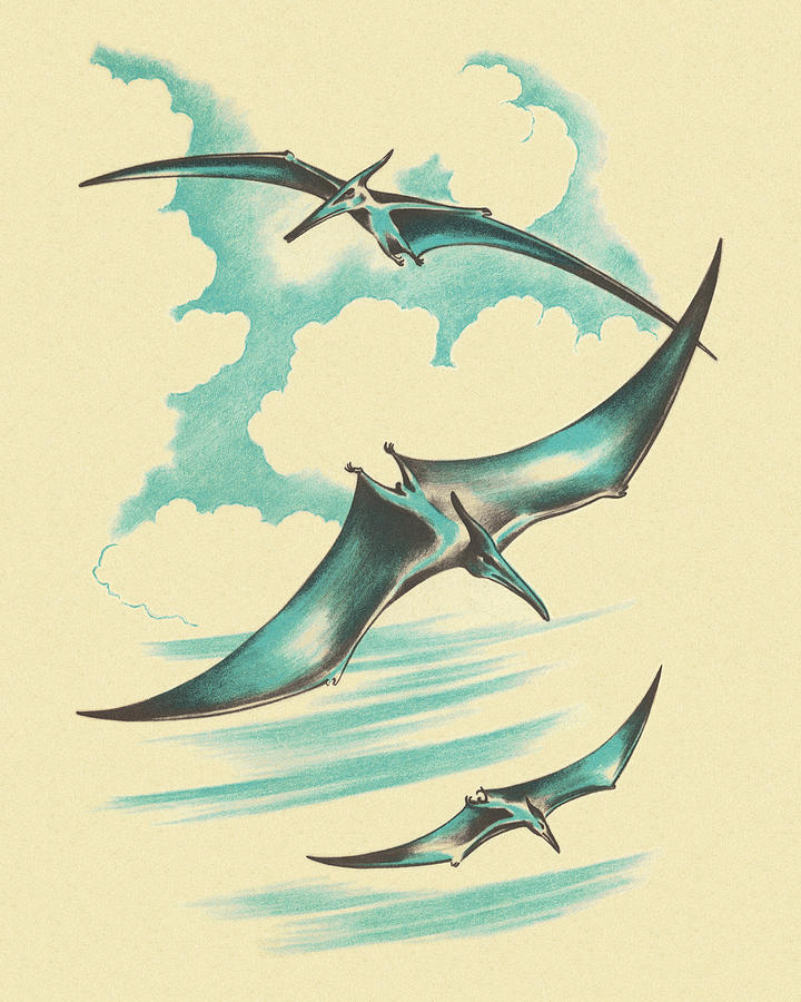 Prehistoric Drawing - Three Pterodactyl by CSA Images