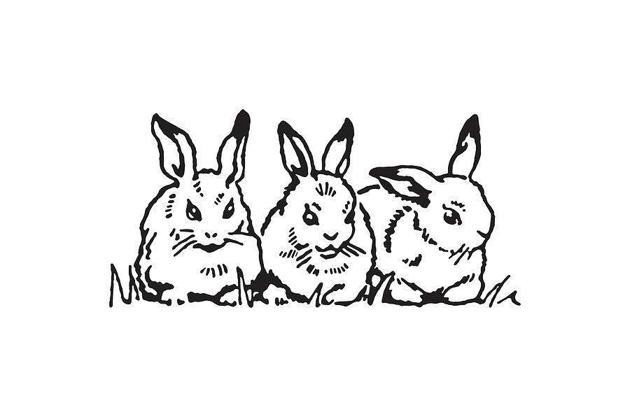 Three Rabbits Drawing by CSA Images Fine Art America