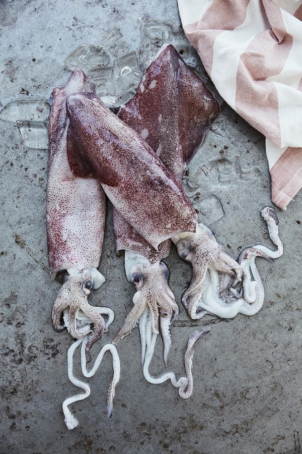 Three Raw Squid On A Stone Background top View Photograph by Liv Friis