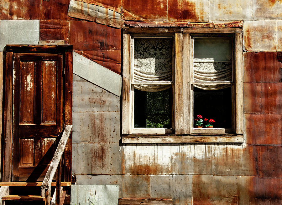 Three Red Roses in the Window Photograph by S Katz