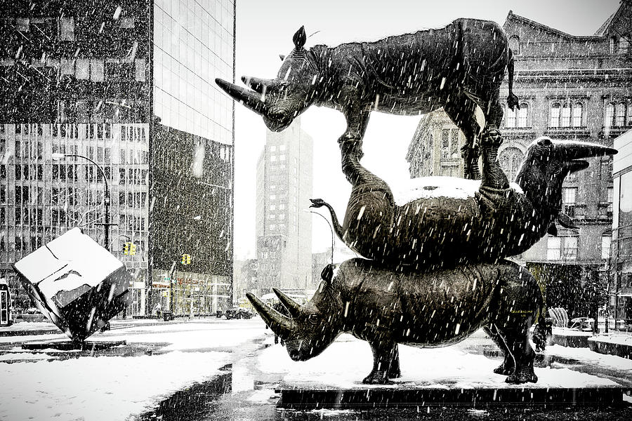 New York City Photograph - Three Rhinoceri In New York  by Chris Lord