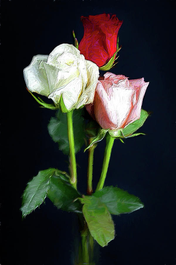Three Roses The Flower of Love AP Digital Art by Dan Carmichael