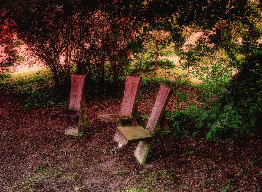 Three Seats In Woodland Photograph by Jeff Townsend