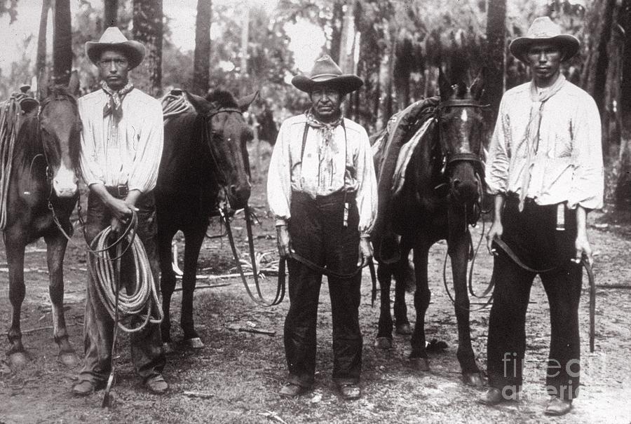 Horse Photograph - Three Seminole Indians by American Photographer