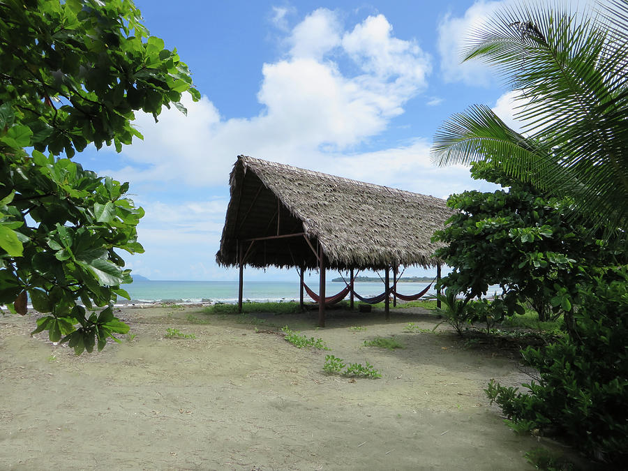 Beach Hammocks For Three Photograph by Jane Loomis