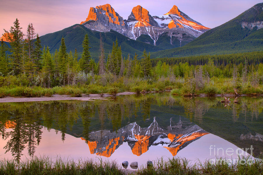 Three Sisters And An Extra Photograph by Adam Jewell