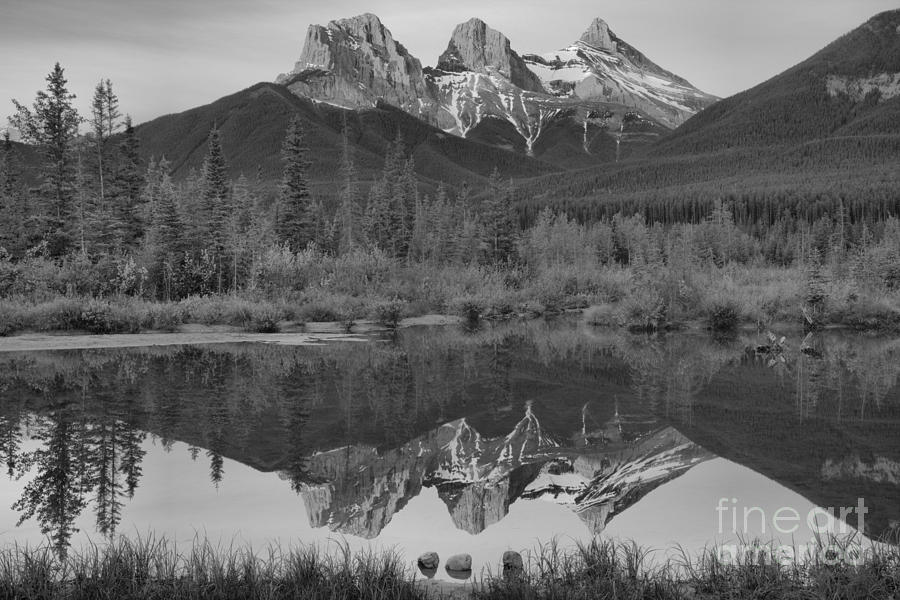 Three Sisters And An Extra Black And White Photograph by Adam Jewell